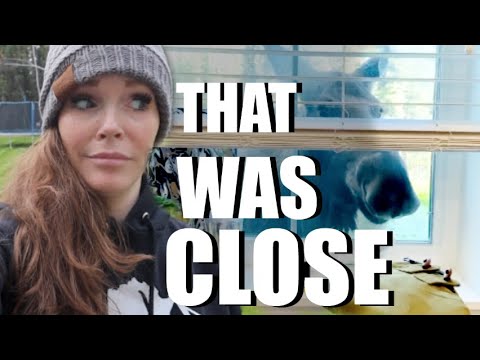 THAT WAS CLOSE... | SHE CAN NOT LIVE HERE | Somers In Alaska