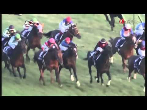 24.11.2013 Tokyo (JPN) 11.Race The Japan Cup 2013 - Group I 2.400 m