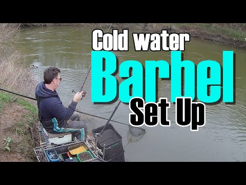 How to Catch barbel In Winter