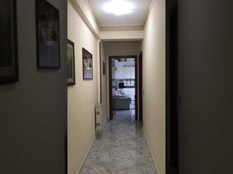 Cocorito viene da me al richiamo *Ciro*