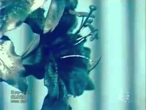 オリヴィア・ラフキン Olivia Lufkin - reACT