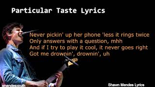 Shawn Mendes   - Particular Taste  ( Lyrics )