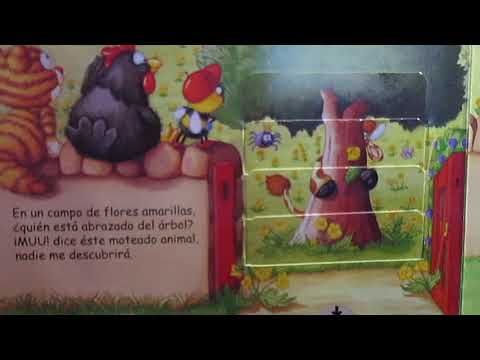 Video donadores horas