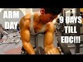 9 DAYS TILL EDC! | ARM DAY | Martin Barboza