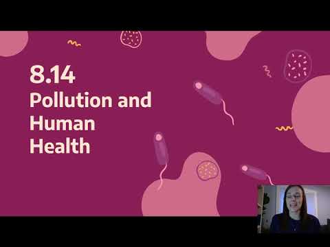 8.14 Notes - Pollution and Human Health