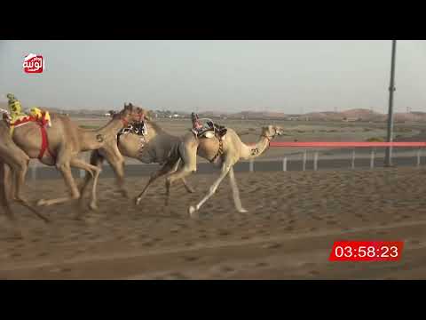  ش 6 (البصرة) لـ محمد ظبيب راشد الدرعي 6:27:72 , شارة الديوان 1 2026/09/13 ايذاع الوقن