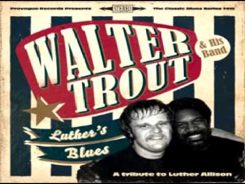 Walter Trout - Move from the Hood