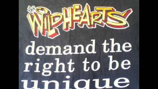 The Wildhearts - Live 1995 Hultsfred Festival, Sweden (audio only)