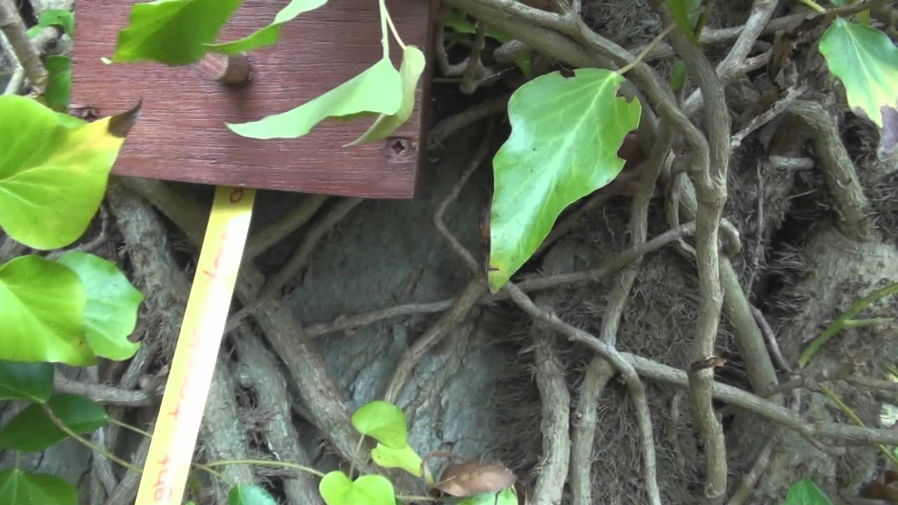 FREAKING AWESOME GEOCACHE