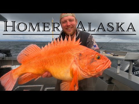 3 Days Ocean Fishing Alaska