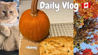 【Vlog】秋のバンクーバー🍪ペットの猫とのんびり生活 /slow life with my cat in Vancouver 