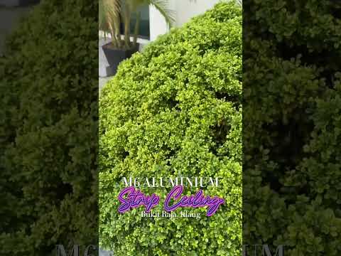 M6 ALUMINIUM STRIP CEILING @ KLANG