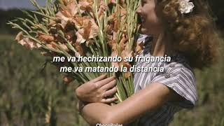 Mañana voy a conquistarla - Gerardo Ortiz //Letra