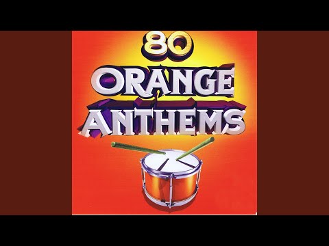 The Ducks of Magheralin