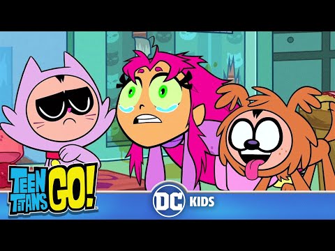 download lagu mp3 mp4 Robin The Dog, download lagu Robin The Dog gratis, unduh video klip Robin The Dog