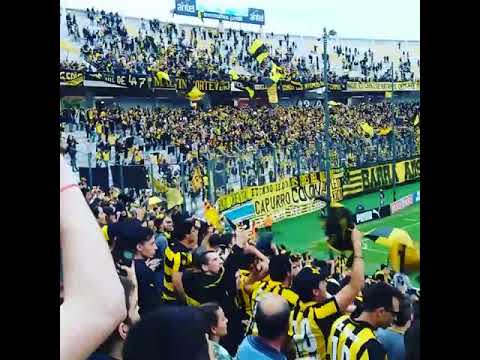 "La hinchada de Peñarol celebra el triunfo vs Racing 4 a 0" Barra: Barra Amsterdam • Club: Peñarol