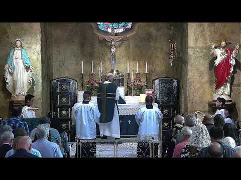 10:30 am Missa Lecta-Dominica XV Post Pentecosten