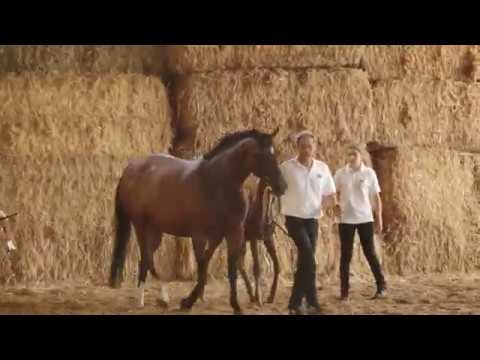 Ostsee - Lossow - Heldenberg