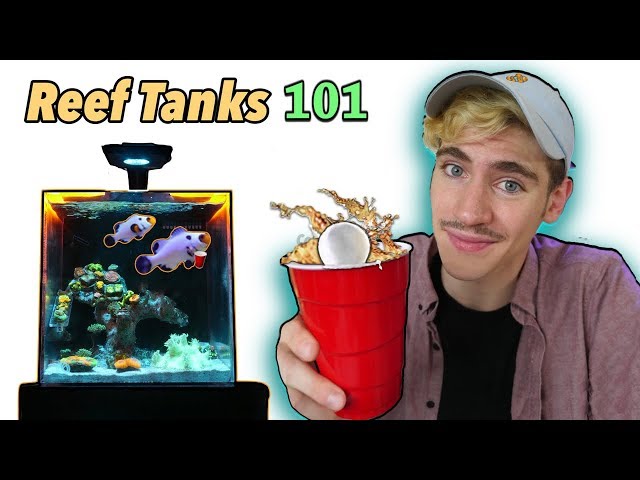 My College Reef Tank! - (Q&A)