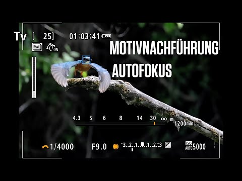 Canon Academy Quick-Tipp: Motivnachführung Autofokus