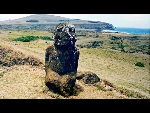 !Einzigartiger MOAI Gibt Rätsel Auf!