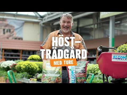 Höstgödsla gräsmattan | Tips & råd [HORNBACH]