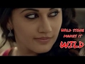 Tapsee Pannu And Amit Sadh Very Bold Wild Stone Thunder Advertisement