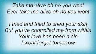 Chris Cornell - Take Me Alive Lyrics