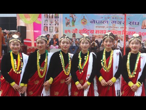 Laafa jyu dance by नेपाल्पालि कला सांस्कृतिक परिवार l❤️