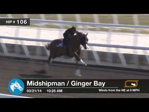 Before They Were Stars: FRAMMENTO at the 2014 F-T Florida 2YO Sale!