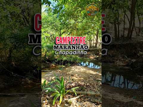 Campestre interior do Maranhão, 1 km de Chapadinha-MA.