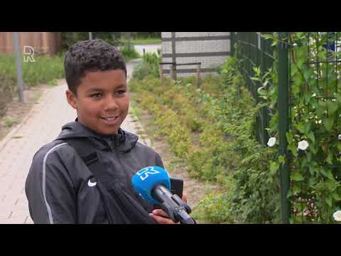 Gebiedscommissie Pernis: zwembad moet direct weer open