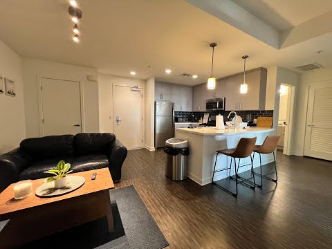 Ecco BDTLA - Video 2 of 2