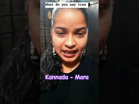 Tree 🌳 in different languages #shorts