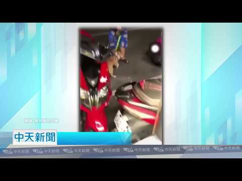 20180818中天新聞　殘忍！　牽繩吊狗旋轉　飼主大笑取樂