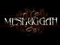 MESHUGGAH - IMPRINT OF THE UN-SAVED