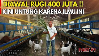 Download lagu PETERNAK KAMBING DAN DOMBA WAJIB TONTON INI ! RAHASIA SUKSES 78 FARM JOGJA | KISAH INSPIRATIF mp3 Download lagu PETERNAK KAMBING DAN DOMBA WAJIB TONTON INI ! RAHASIA SUKSES 78 FARM JOGJA | KISAH INSPIRATIF mp3