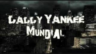 Coraza Divina - Daddy Yankee  ** LYRICS**