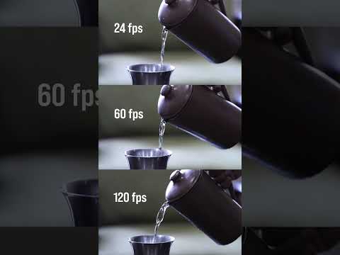 EOS R6 Mark II: Speed, Precision & Stunning Bokeh | Shot by Swaroop Singha Roy