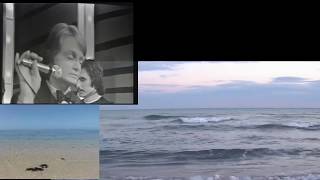 claude françois &quot;ne pars pas&quot;  chanson du LP &quot;FLEUR SAUVAGE&quot;