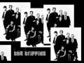 Vagabond Holes - The Triffids 
