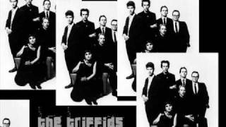 Vagabond Holes - The Triffids