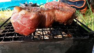 猪苗代湖 キャンプ