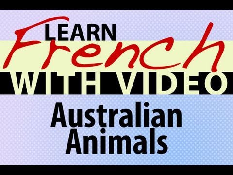 Learn French with Videos Common Animals