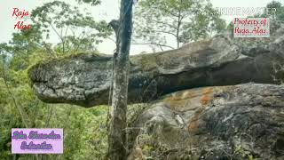 Download lagu Ular Raksasa Penemuan Ular Raksasa yang menjadi Batu di Lhoksukon ACEH mp3 Download lagu Ular Raksasa Penemuan Ular Raksasa yang menjadi Batu di Lhoksukon ACEH mp3