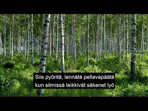 Saarenmaan valssi  ~ Georg Ots   (Finnish version )  (Lyrics)