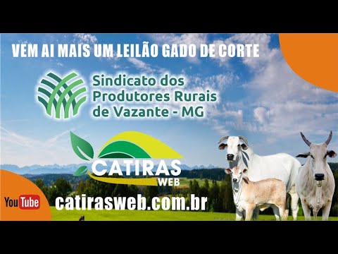 LEILÃO AO VIVO SINDICATO RURAL DE VAZANTE - MG  -  27 DE AGOSTO DE 2026.