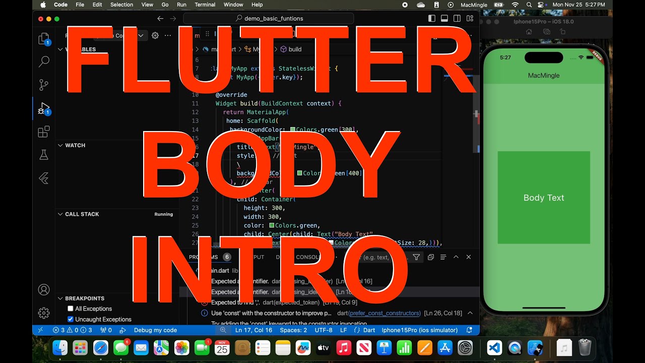 Flutter Body - An Intro #flutter #vscode