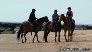 preview picture of video 'Opening Day of Horseback Riding  @ The Inlet & Beach - Ocean City, MD'