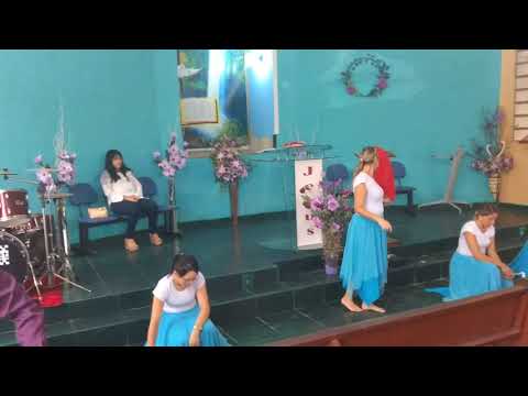 A Família e a Marca